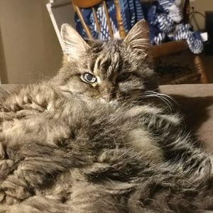 Meet your Posher, Rhonda